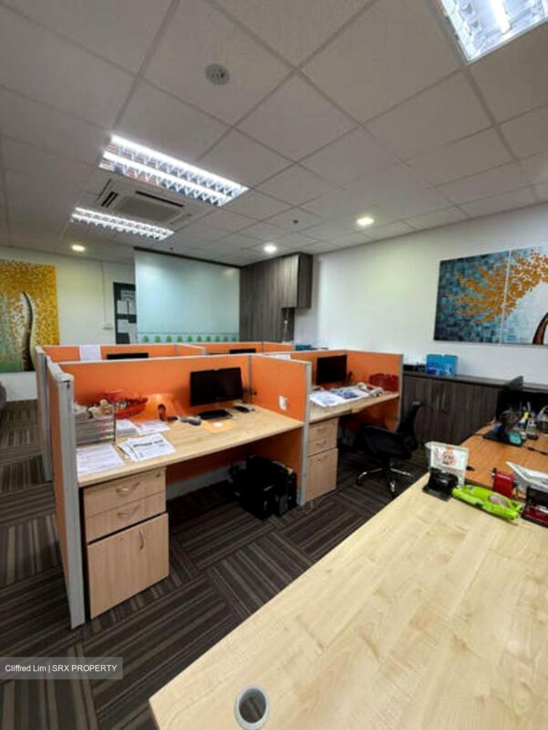 A'posh Bizhub (D27), Factory #496231131